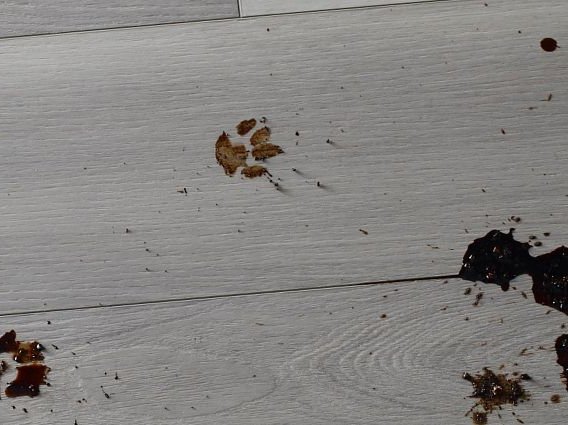 Floorte Vinyl Flooring from Young's Interiors & Flooring in Ford City